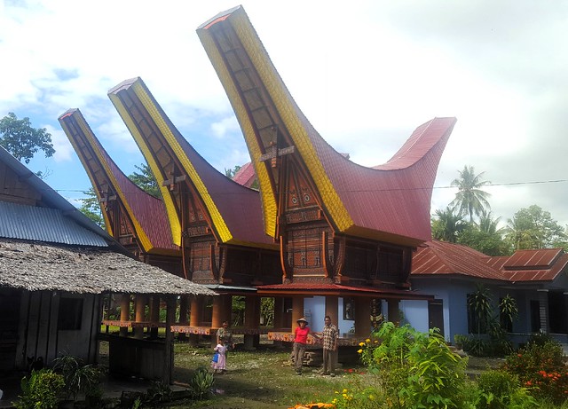 We were so excited to these fancy houses.  We thought maybe they were used for prayer since they were the nicest buildings in the village.  No, they're used to store rice, we learned.  Later in Tana Toraja we saw hundreds more like these. by bryandkeith on flickr