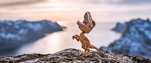 29/52 - Balance | by Reiterlied