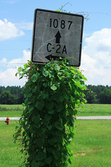 Basic 1087 and C-2A Sign