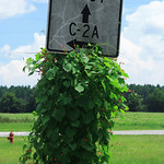 Basic 1087 and C-2A Sign 