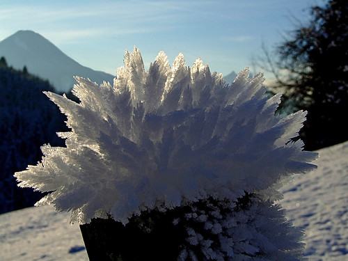 austria karavanke karawanken karawanks lobnik frost crystals winter cold