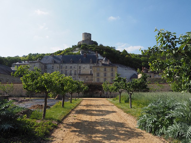 Le château vu du potager