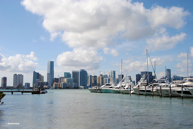 Pienveneitä satamassa, taustalla Miamin pilvenpiirtäjiä