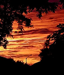 Arlington Sunset