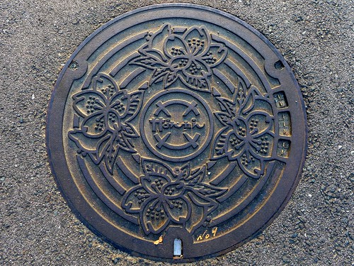 flower kumamoto nankan japanese manhole