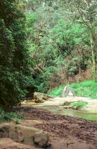 newsouthwales trees camping river dometent australia tent nsw 35mmslide kodachrome 35mm slide film