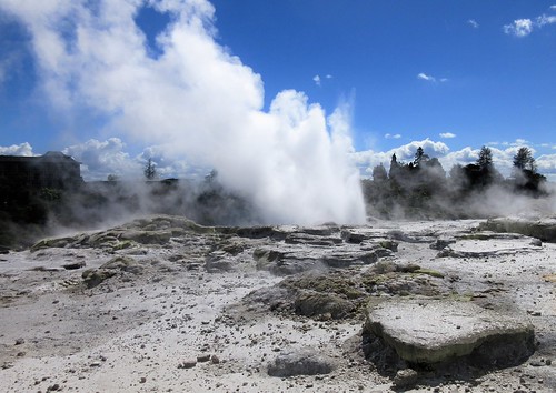whakarewarewa rotorua nz newzealand bayofplenty geothermalvalley tepuia pohutugeyser steam water eruption geothermalactivity