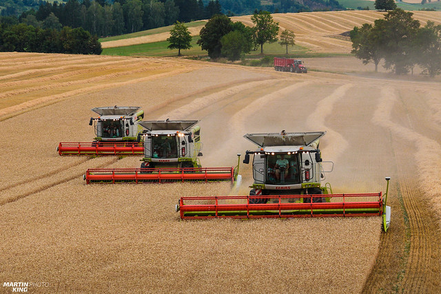 Wheat Harvest by CLAAS
