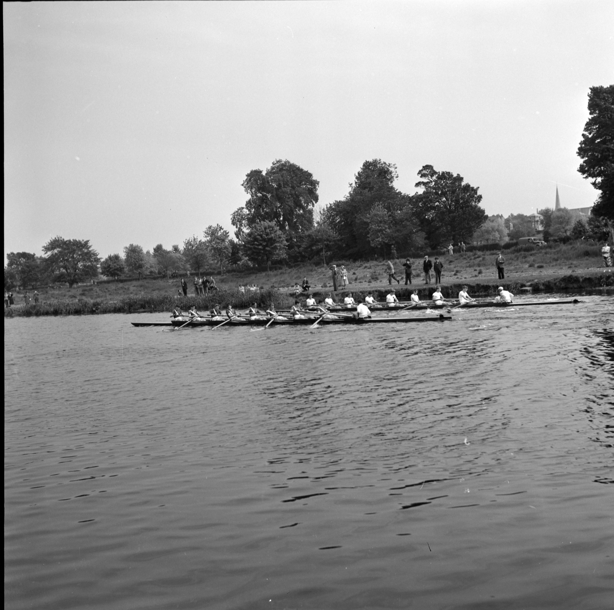 Boat race, Dodder River, Rathfarnham, Co. Dublin