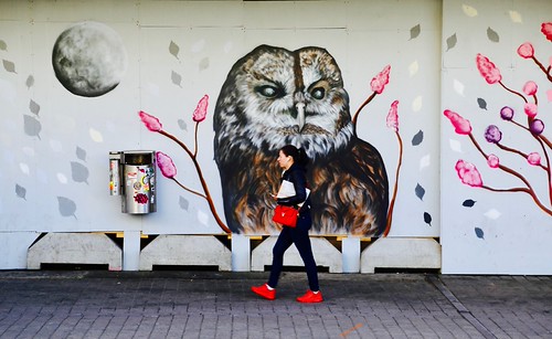 Faune urbaine | by Alex L'aventurier,