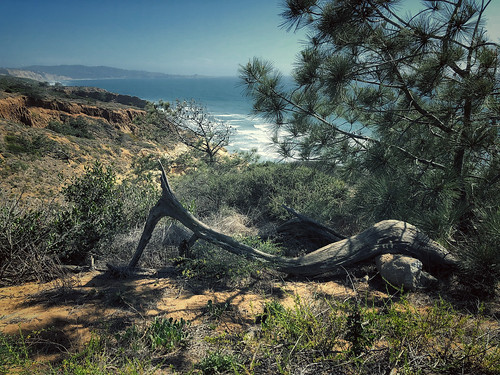 california pacific hiking sandiegocounty torreypines scenic landscape ocean oceanview pacificocean beacheslandscapes