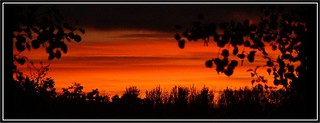 Lucious Sunset Framed