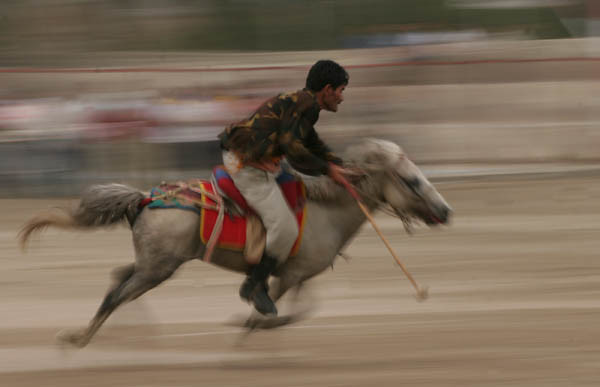 Polo Horse Rider at Kargil