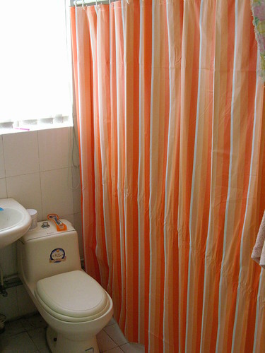 Shower Curtain!