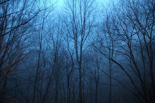 Blue | Outside my house, Oak Ridge, Tennessee, USA | Tim Mowrer | Flickr