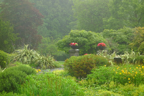 wales blaenaugwent tredegar bedwelltypark landscape trees flowers path rain weather