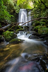 Matai Falls-8