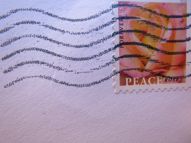 Peace rose stamp 8 4 18