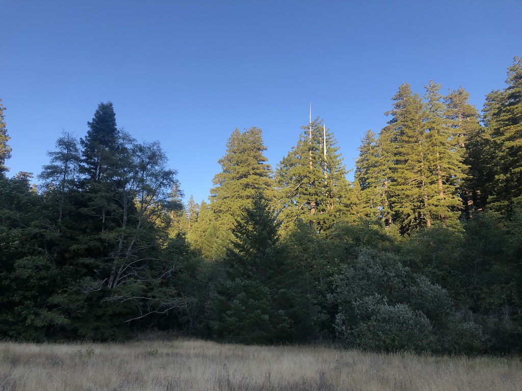 Baxter Trail