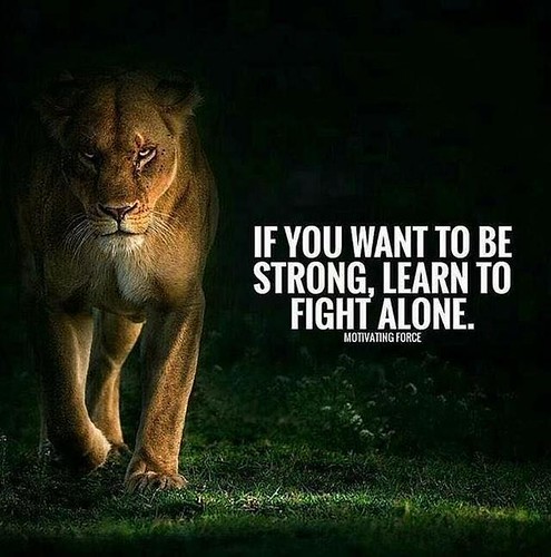 Positive Quotes : Learn to fight alone.. | by Hall of Quotes