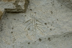 Petroglyphs at Petroglyph Pt at Lava Beds NM-05 5-27-18