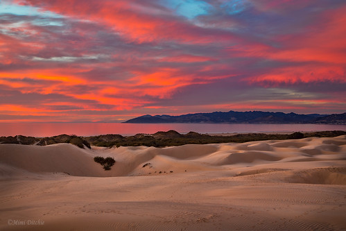 oceanodunes dunes sunset sanddunes ocean pacificocean pointbuchon clouds pinkclouds brilliantsunset getty gettyimages mimiditchie mimiditchiephotography