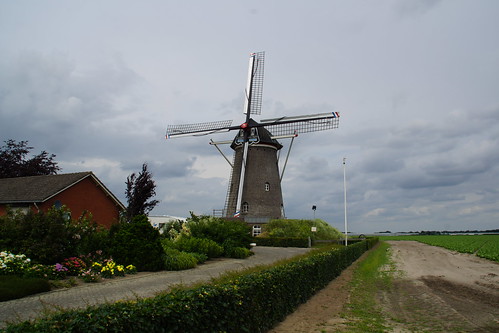 nederland netherlands niederlande limburg horstmeterik molen eendracht maakt macht landschap