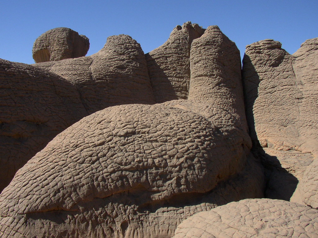 Tectoclasas en red ortogonal - Arenisca paquidérmica - You… | Flickr