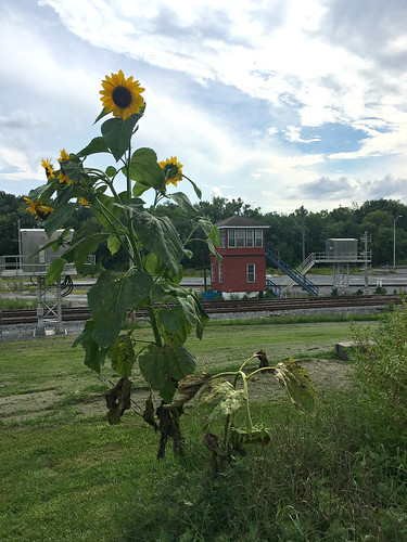sunflower storm train railroad wbtower railroadyard railroadstructure railroadviewpark