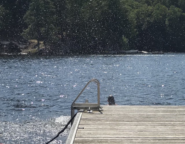 Splash off the Dock in Summertime - IMG_3315