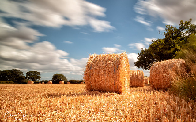 Great bales of... Straw