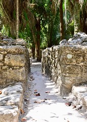 Mayan alleyway