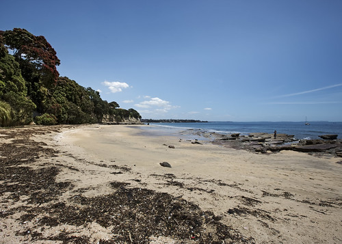 lisaridings fantommst takapuna northshore nz newzealand auckland beach rock shelf low tide gulf waitematā harbour