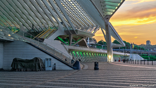 Liège, Belgium: Liège-Guillemins railway station by nabobswims, Liège, Belgium: Liège-Guillemins railway station, Architect Santiago Calatravabe belgianrailways bel