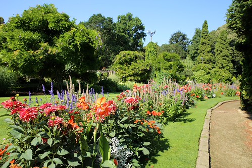 Zomer in de Leuvense Kruidtuin (22/07/2018)