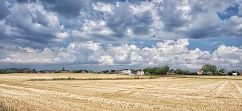 DSC05998-01 | by hellings89
