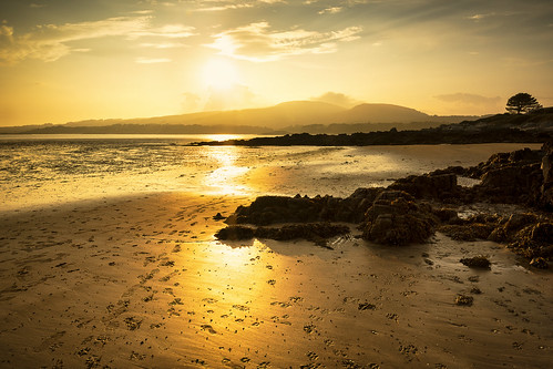 sunset fleetbay sandgreen