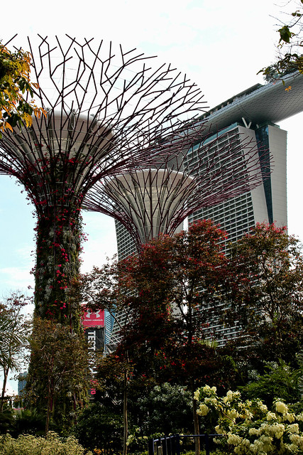 Gardens by the Bay,  Singapore