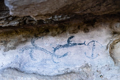 Maori rock art near Duntroon