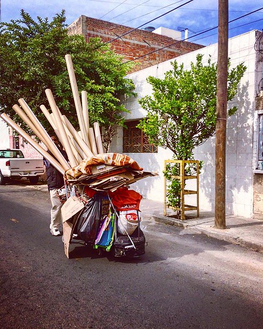 🚴‍♂️💜👀 The “magical-reality” that I’ve seen while riding the bike. / La “mágica-realidad” que he visto mientras monto bicicleta. 👀💜🚴‍♂️ Foto: @mayercuamatzi Guadalajara, Jalisco