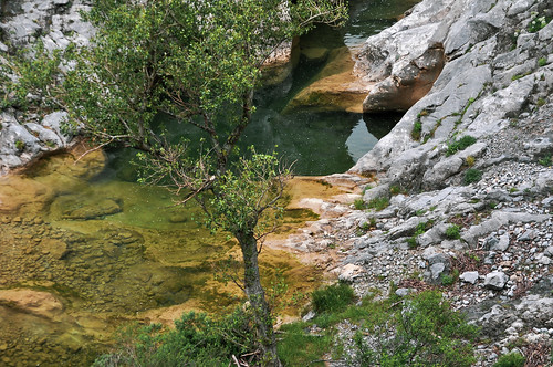 saintpauldefenouillet gorgesdegalamus water river pyrénées france pyrénéesorientales nikon tree rock canyon gorges occitanie landscape