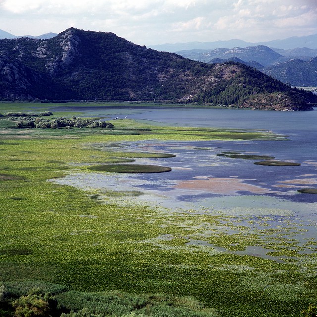 Skadar lake, Montenegro