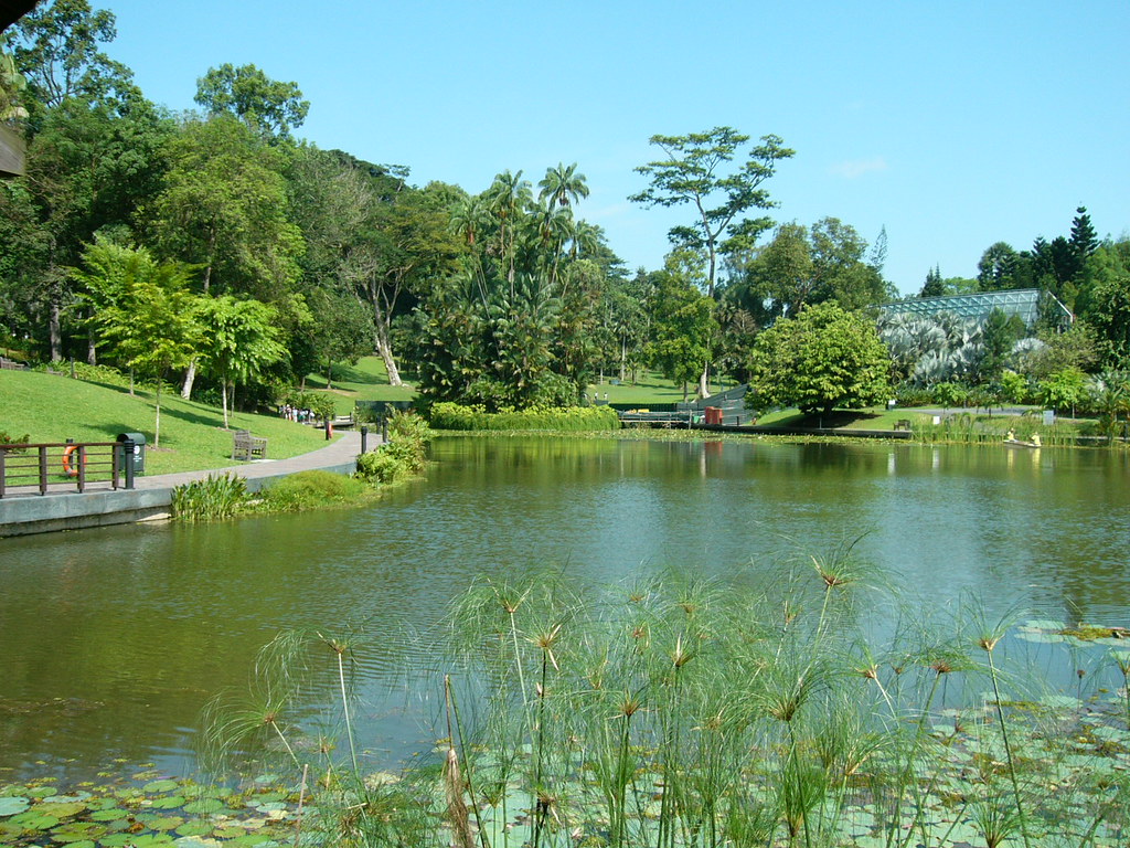 153454 - Botanical Gardens | Botanic Gardens, Singapore | Flickr