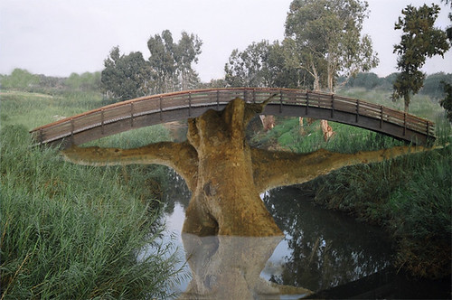 tree bridge - (processed) by .Jac.