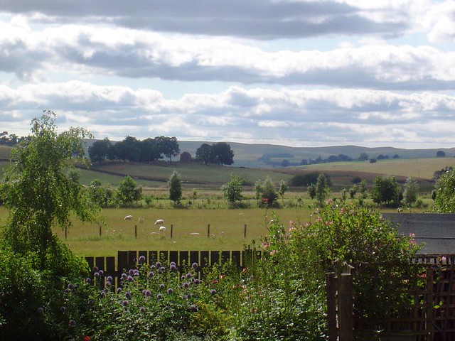 View from Townfoot, Elsdon