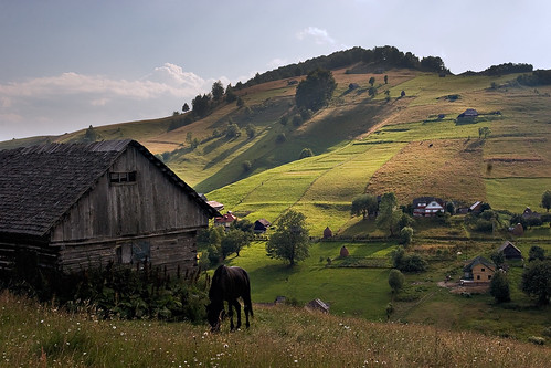 horse black rural landscape village cal romania transylvania transilvania sirnea