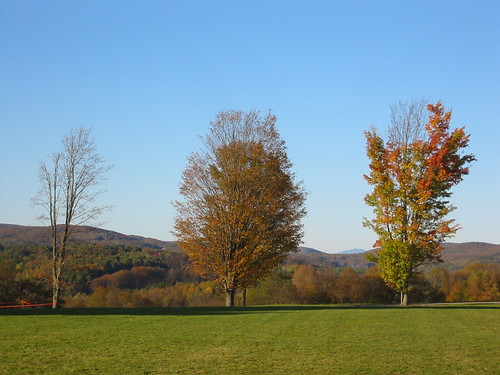 three phases of fall | by steadystead