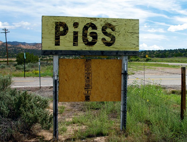 ~PiGs~ On the road from Ojo Caliente to Abiquiu,New Mexico