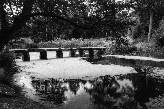 Bridge, Pond, Algae