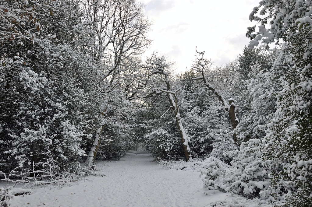 32686 | Sutton Park the largest Urban Park in the United Kin… | Flickr